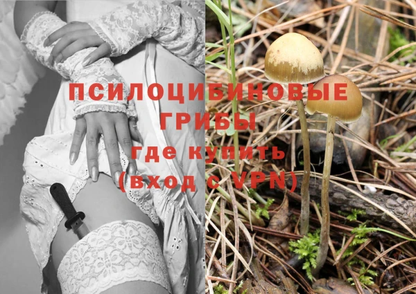 каннабис Беломорск