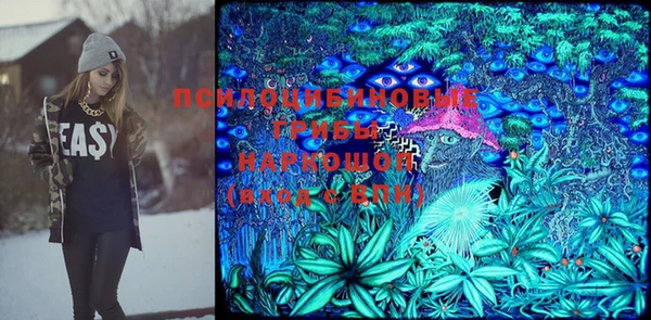 гашиш Богданович