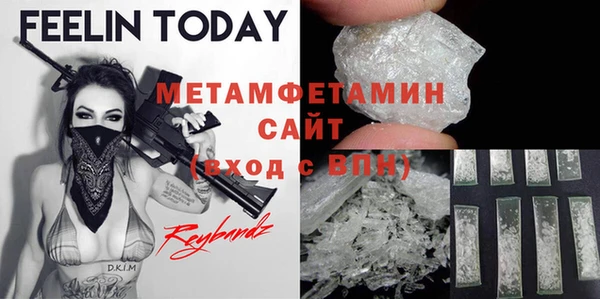 прущие грибы Богородск