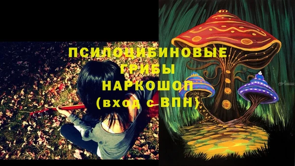 прущие грибы Богородск